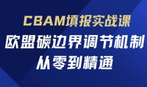 CBAM填报实战课，欧盟碳边界调节机制，从零到精通-NB网创