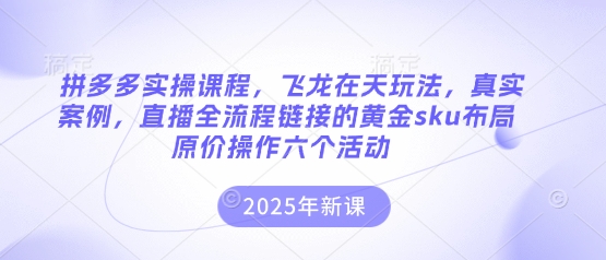 拼多多实操课程，飞龙在天玩法，真实案例，直播全流程链接的黄金sku布局原价操作六个活动-NB网创