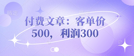 付费文章:客单价500,利润300-NB网创