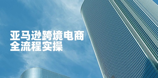（14252期）亚马逊跨境电商全流程实操，教你从零开始，掌握店铺运营与广告技巧-NB网创