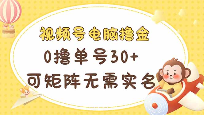 (14220期)视频号电脑撸金 0撸单号30+ 可矩阵 无需实名多号多得-NB网创