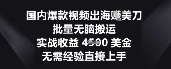 国内爆款视频出海挣美刀,批量无脑搬运,实战收益4.5k,无需经验直接上手-NB网创