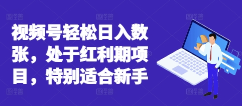 视频号轻松日入数张,处于红利期项目,特别适合新手-NB网创