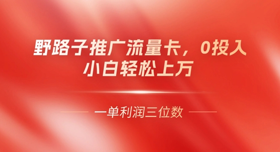 0门槛推广流量卡,一单收益上百,0投入,小白月入过W-NB网创