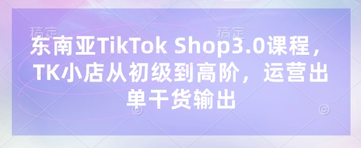 东南亚TikTok Shop3.0课程，TK小店​从初级到高阶，运营出单干货输出-NB网创