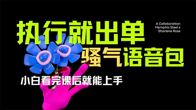 (14170期)爆火全网的开车导航骚气语音包,只要执行就出单,小白看完课程就能实操...-NB网创