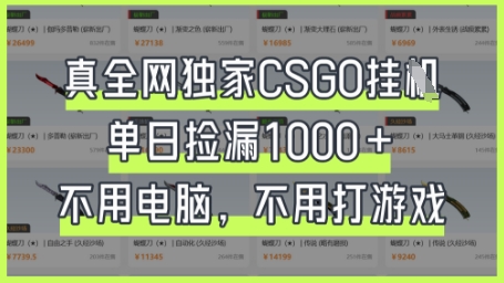 真全网独家CSGO挂G,单日捡漏1k+【揭秘】-NB网创