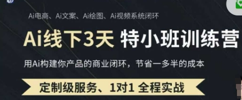 AI实操培训第20-21期线下,0基础保姆级教程,3月最新整理,企业获客、降本增效、打造超级个体-NB网创