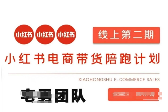 小红书电商带货课2期，月利润20个的小红书电商的有货源，无货源，虚拟产品，付费投流等整套玩法-NB网创